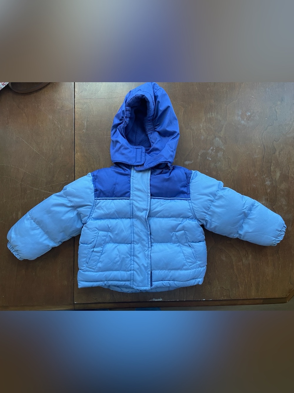 Rothschild Kids Two-Tone Light Blue & Royal Puffer with removable hood